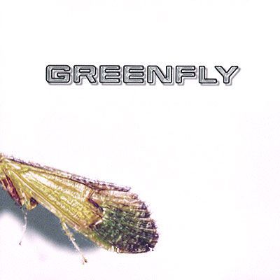 Greenfly - Greenfly 2001