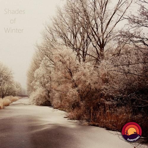 Twisted Psykie - Shades of Winter (LP) 2018