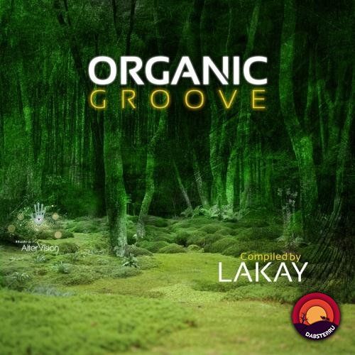 VA - ORGANIC GROOVE COMPILED BY LAKAY (LP) 2019