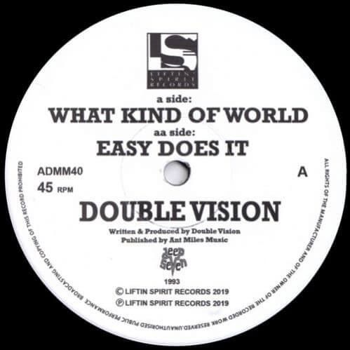 Download Double Vision - What Kind Of World / Easy Does It mp3