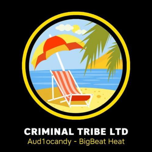Download Aud1ocandy - BigBeat Heat (Summer Mix 2022) mp3