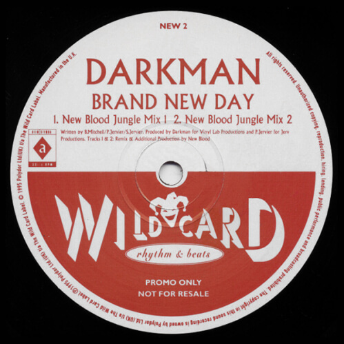 Download Darkman - Brand New Day (The Jungle Mixes) mp3