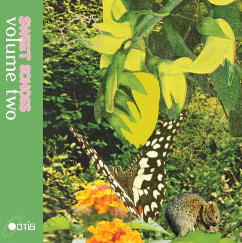 VA - Sweet Echoes Vol 2 (OTIS007)