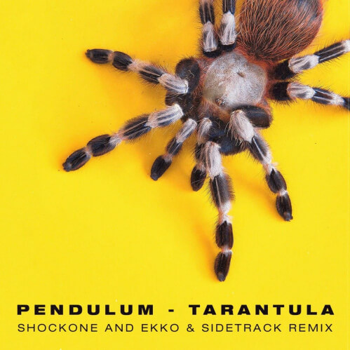 Download Pendulum & DJ Fresh - Tarantula (ShockOne x Ekko & Sidetrack Remix) mp3