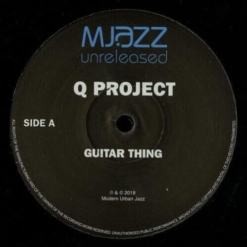 Q Project - Guitar Thing / Wild Pitched / Instrumental (Remix)