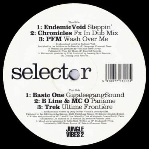 VA - Jungle Vibes 2
