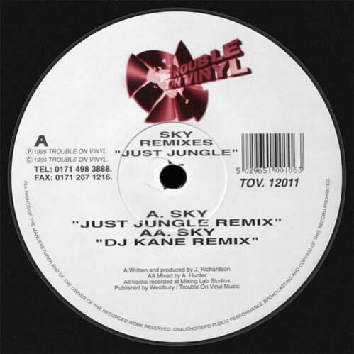 Download Just Jungle - Sky Remixes mp3