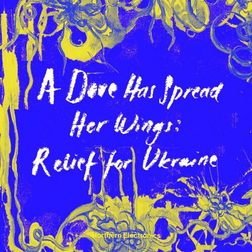 VA - A Dove Has Spread Her Wings: Relief For Ukraine (Northern Electronics)