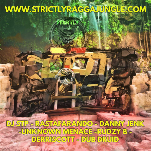 Download VA - ROOTS N BASS LP (STRICTLY RAGGA JUNGLE UK) mp3