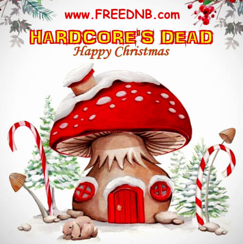 VA - Hardcore's Dead Happy Christmas 2018 (USHLP02)